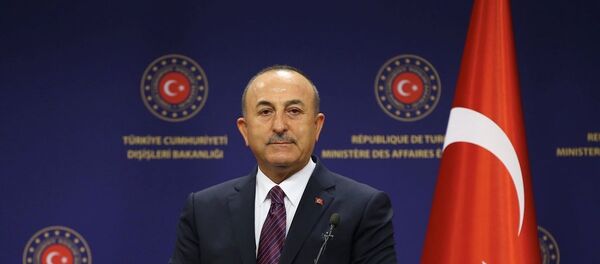 Mevlüt Çavuşoğlu - Sputnik Türkiye