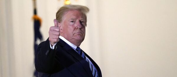 Donald Trump - Sputnik Türkiye