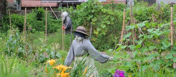 Japonyalı kadın yaşadığı yeri oyuncak bebek köyüne dönüştürdü - Sputnik Türkiye