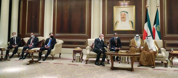 Berat Albayrak'tan, Kuveyt ve Katar ziyareti açıklaması - Sputnik Türkiye