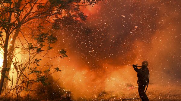 orman yangını, Cordoba, Arjantin - Sputnik Türkiye