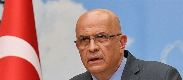 Enis Berberoğlu Enis Berberoğlu - Sputnik Türkiye