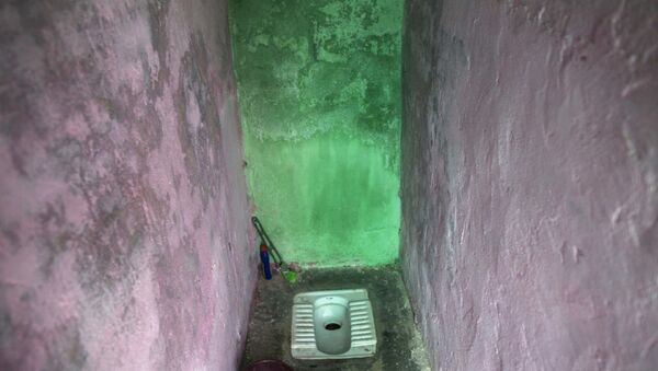 Haryana'da bir tuvalet, Hindistan - Sputnik Türkiye