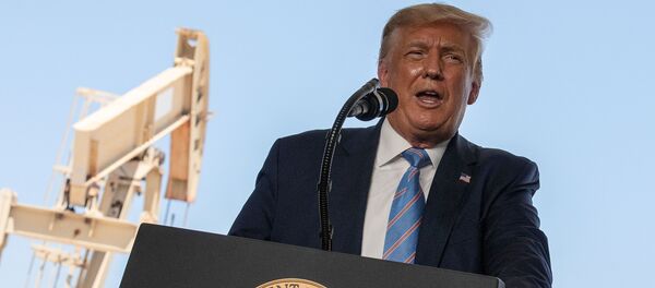 Donald Trump - Sputnik Türkiye