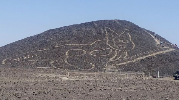 Peru'nun Nazca Platosu'nda keşfedilen binlerce dev çizime 37 metre uzunluğunda bir kedi eklendi. - Sputnik Türkiye