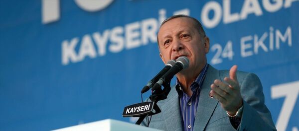 Recep Tayyip Erdoğan - Sputnik Türkiye