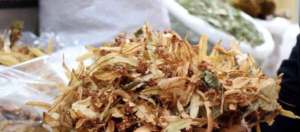 Ihlamur - Sputnik Türkiye