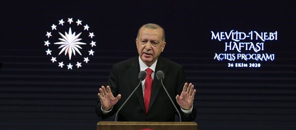 Recep Tayyip Erdoğan - Sputnik Türkiye