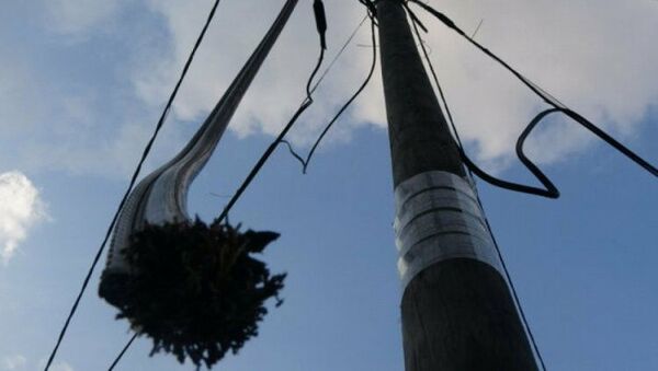 Sultangazi'de çalınan kablolar yüzünden internet erişimi kesildi - Sputnik Türkiye