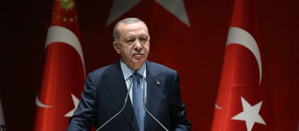 Recep Tayyip Erdoğan - Sputnik Türkiye