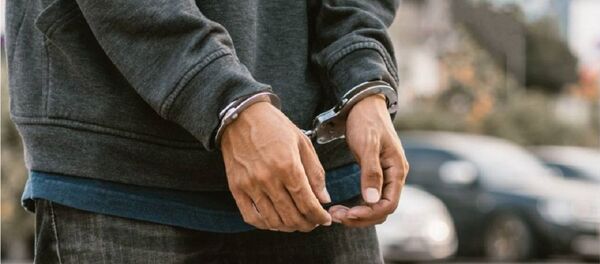 gözaltı - Sputnik Türkiye