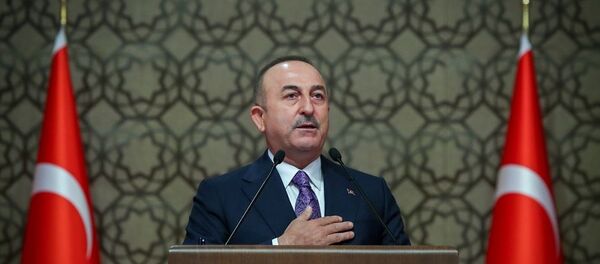 Mevlüt Çavuşoğlu - Sputnik Türkiye