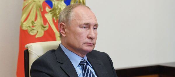 Vladimir Putin - Sputnik Türkiye