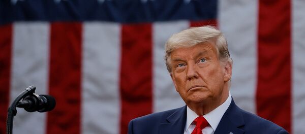 Donald Trump - Sputnik Türkiye