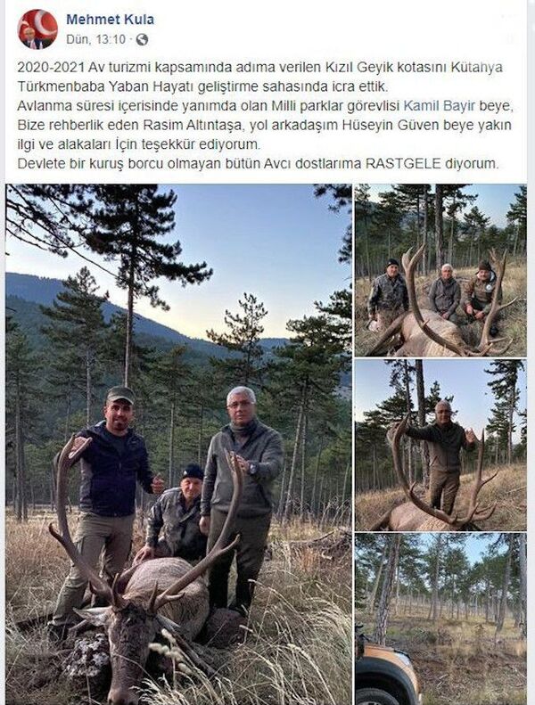 Eski MHP'li belediye başkanı, nesli tükenmekte olan kızıl geyiği vurup sosyal medyada paylaştı - Sputnik Türkiye