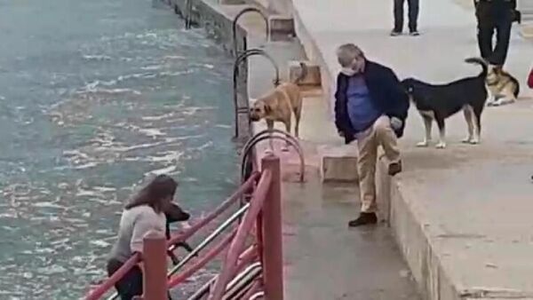 Veteriner hekim, kıyafetleriyle denize girip, soğuk suda şoka giren köpeği kurtardı - Sputnik Türkiye
