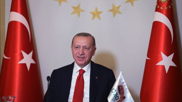 Erdoğan, G20 - Sputnik Türkiye