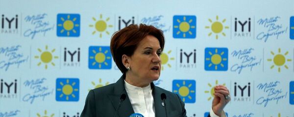  Meral Akşener - Sputnik Türkiye