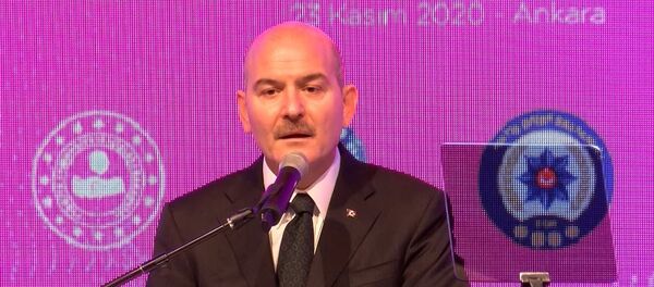 Süleyman Soylu - Sputnik Türkiye