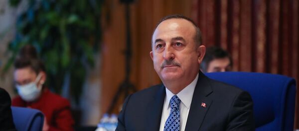 Dışişleri Bakanı Mevlüt Çavuşoğlu Dışişleri Bakanı Mevlüt Çavuşoğlu - Sputnik Türkiye
