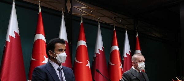 Türkiye Cumhurbaşkanı Recep Tayyip Erdoğan, Katar Emiri Şeyh Temim bin Hamed Al Sani Türkiye Cumhurbaşkanı Recep Tayyip Erdoğan, Katar Emiri Şeyh Temim bin Hamed Al Sani - Sputnik Türkiye