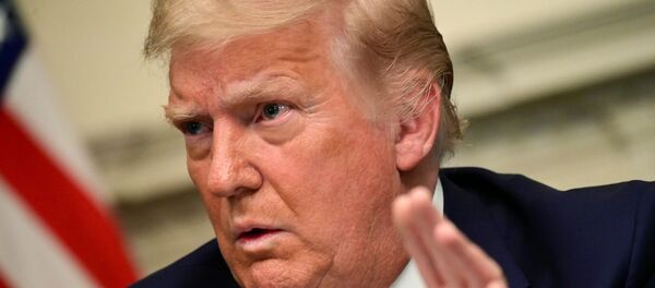 Donald Trump - Sputnik Türkiye