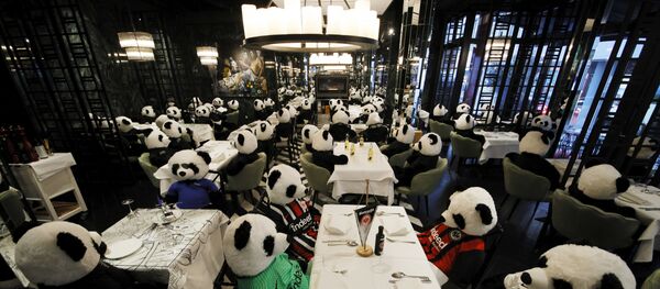 Almanya'nın Frankfurt kentinde Guiseppe Fichera adlı restoran sahibi, koronavirüs ile mücadele kapsamında ülke genelinde restoranların kapatılmasını, oyuncak pandaları restoranında müşteri gibi ağırlayarak protesto etti Almanya'nın Frankfurt kentinde Guiseppe Fichera adlı restoran sahibi, koronavirüs ile mücadele kapsamında ülke genelinde restoranların kapatılmasını, oyuncak pandaları restoranında müşteri gibi ağırlayarak protesto etti - Sputnik Türkiye