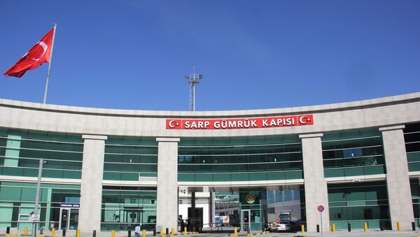 Sarp Sınır Kapısı - Sputnik Türkiye
