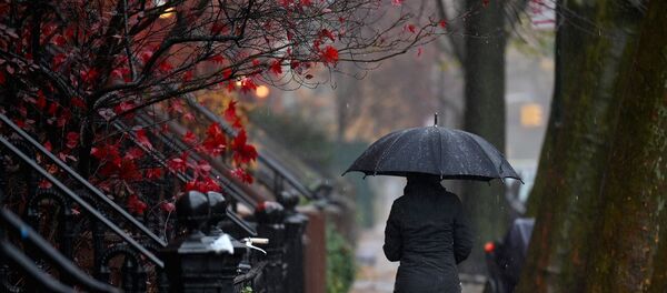 Hava - sıcaklık - şemsiye - New York + ABD - Sputnik Türkiye