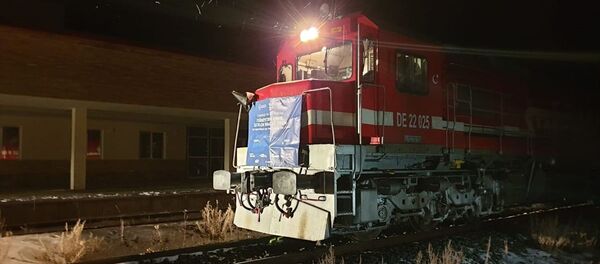 Türkiye'den Çin'e gidecek ilk blok ihracat treni Gürcistan'da - Sputnik Türkiye