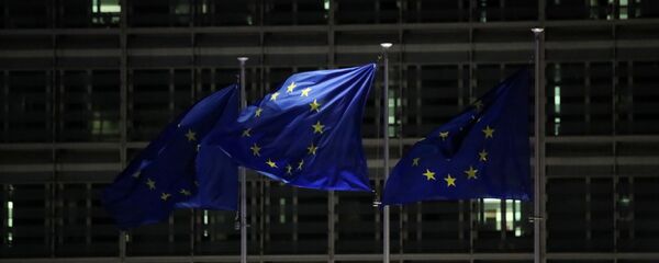Avrupa Birliği bayrak Avrupa Birliği bayrak - Sputnik Türkiye
