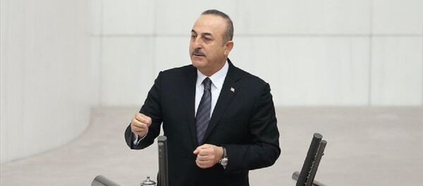 Mevlüt Çavuşoğlu - Sputnik Türkiye