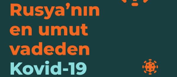 İnfografik - Sputnik Türkiye