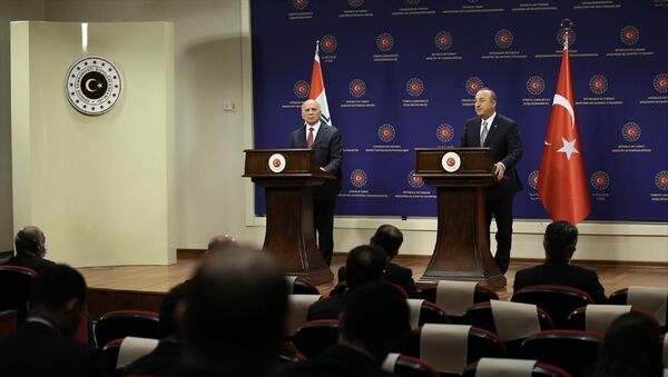 Dışişleri Bakanı Mevlüt Çavuşoğlu, Irak Dışişleri Bakanı Fuad Hüseyin  - Sputnik Türkiye