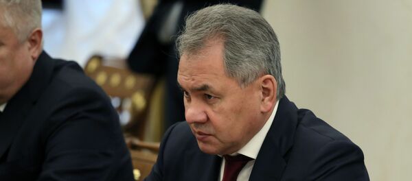 Sergey Şoygu - Sputnik Türkiye
