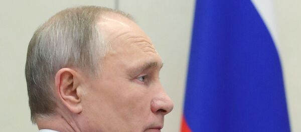 Vladimir Putin - Sputnik Türkiye