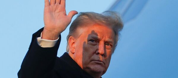 Donald Trump - Sputnik Türkiye