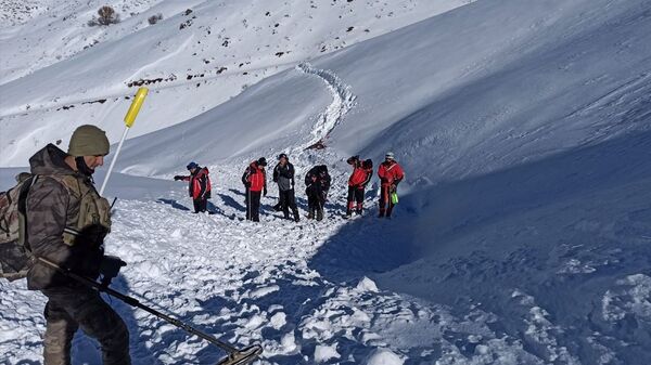 Hakkari'nin Şemdinli ilçesinde çığ - Sputnik Türkiye