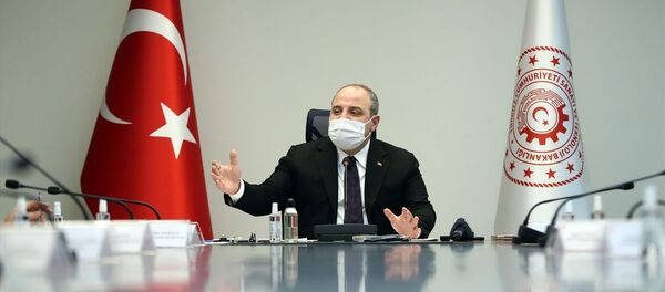 Mustafa Varank - Sputnik Türkiye