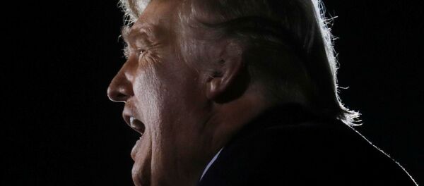 Donald Trump - Sputnik Türkiye