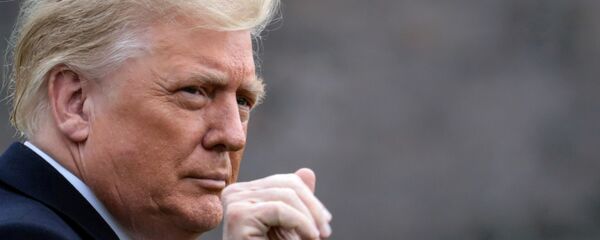 Donald Trump - Sputnik Türkiye