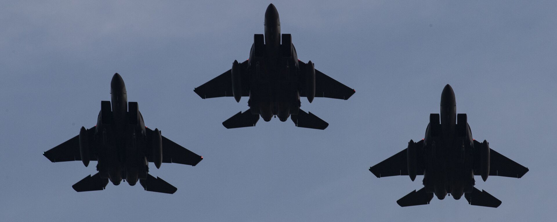 McDonnell Douglas F-15 Eagle - Sputnik Türkiye, 1920, 11.03.2021