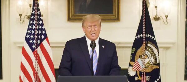 Donald Trump - Sputnik Türkiye