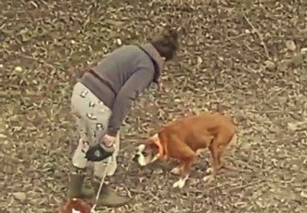 Antalya’da biri tasmalı iki köpeğini eline aldığı sopayla döven kadın - Sputnik Türkiye