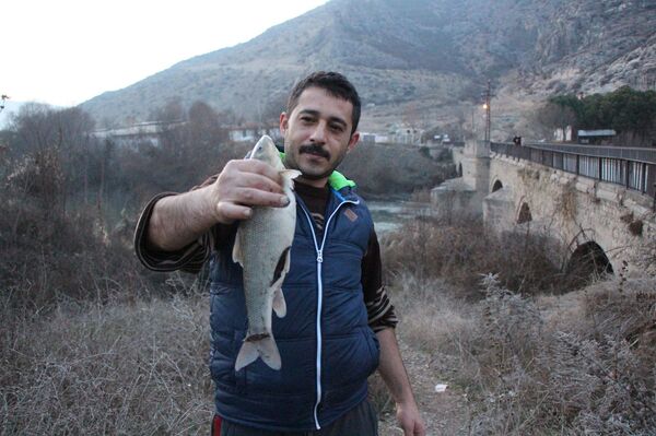 Yeşilırmak’ta çok sayıda ölü balık kıyıya vurdu Yeşilırmak’ta çok sayıda ölü balık kıyıya vurdu - Sputnik Türkiye