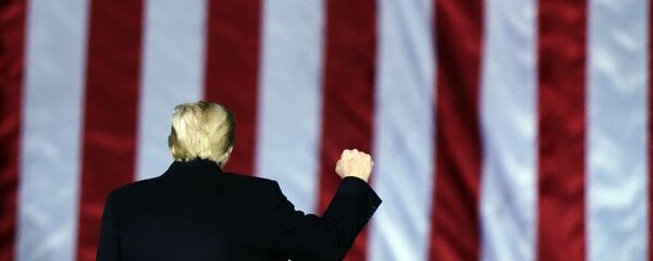 Donald Trump - Sputnik Türkiye