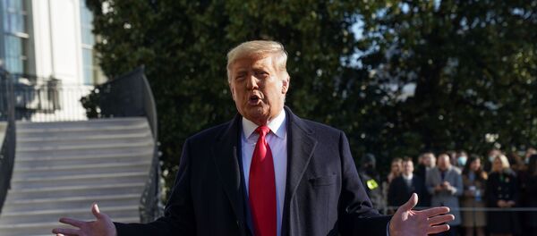 Donald Trump - Sputnik Türkiye