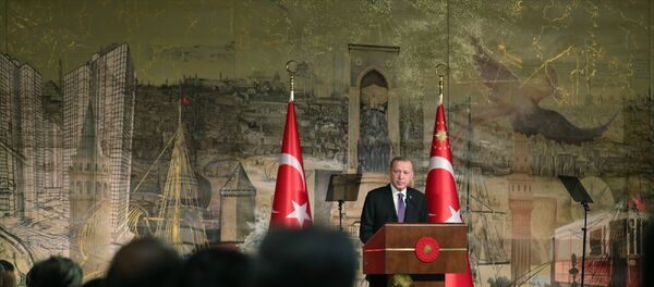 Cumhurbaşkanı Recep Tayyip Erdoğan - Sputnik Türkiye