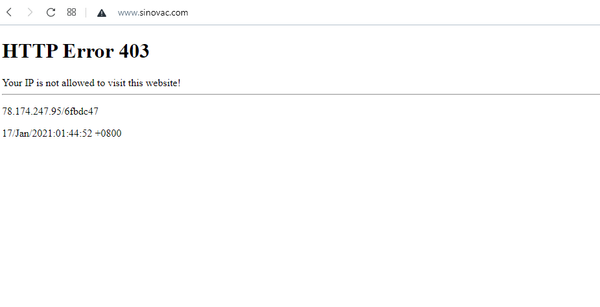 Sinovac'ın sitesine Türkiye'den erişilemiyor - Sputnik Türkiye