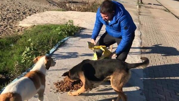 Zonguldak'ın Çaycuma ilçesinde veteriner olan Doğuş Özdil hayvanseverlere yardım çağrısında bulundu. - Sputnik Türkiye
